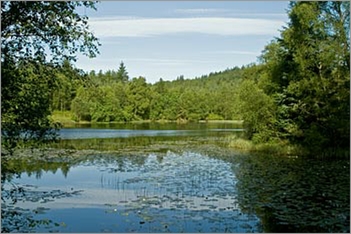 Bruntis Loch