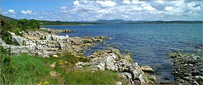 Mossyard beach near Kirroughtree Forest